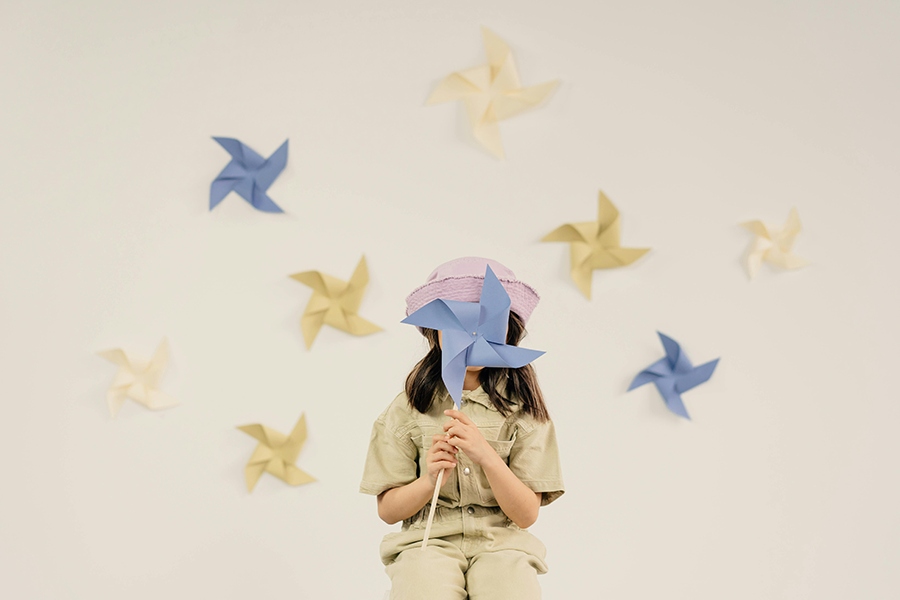 Business Description1